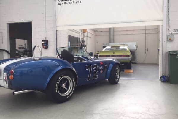 catalbas-shelby-cobra-3