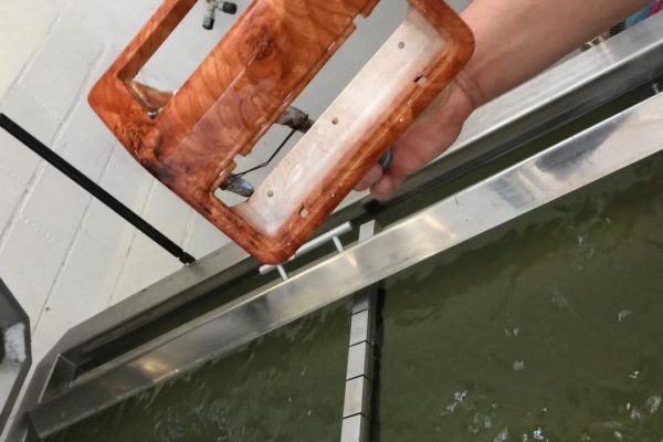 catalbas-wassertransferdruck-17
